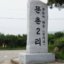 문촌2리 Daum카페