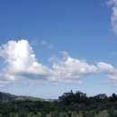 어게인원모어 이미지