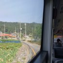 여주-0927 티스토리
