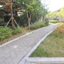 유성숲오투공인중개사사무소 이미지