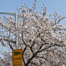 서호호근로 이미지