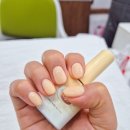 아라다이스