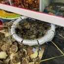어도참치 - 안산시 단원구 광덕2로 163-5 | 어도참치