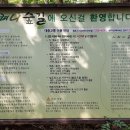 한라산둘레길 사려니숲길 이미지