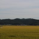 주곡정미소 이미지