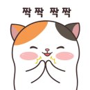 카카오프렌즈 앞 횡단보도 이미지