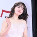 뽀블리 이미지
