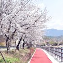 십이리체육공원 이미지