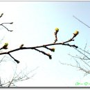 새빛주유소 이미지