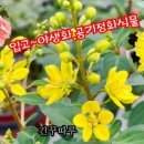 남사물향기야생화 이미지
