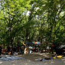 땅콩 게임장 이미지