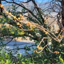 하동호호스테이 이미지