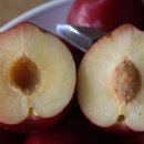 신태양농장 이미지