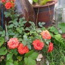 난향경로당 이미지