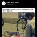 안녕하새우 이미지