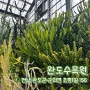 대지-걷기 | [내돈내산] 완도 여행 아침 산책 코스 | 완도수목원 무료 주차장 꿀팁 아열대온실 후기