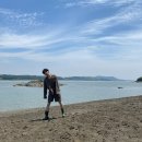 허수아비 이미지