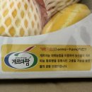 대왕청과 - 진도군 남문길 54-13 | 대왕청과