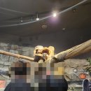 [영등포구 아기랑 갈만한 곳] "주렁주렁 동물원"에서 17개월 아기랑 무료로 놀기(ft. 트니트니 회원 할인)