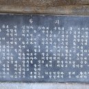 토요일(특별) 이미지