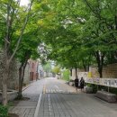 돌담길
