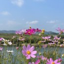 신풍식육식당 이미지