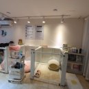 온리유 펫살롱 이미지