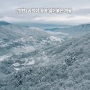 쌍둥이네민박 이미지