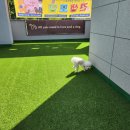 멍더캐슬 이미지