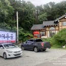 여우골옻닭 이미지