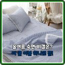시원환경 | 까슬하고 시원해요! 쿨 냉감 시어서커 여름이불 SS, 후기 만족 비결 분석