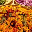 Atelier BB 이미지