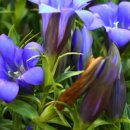 창안과의원 이미지