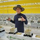 청년모종 이미지