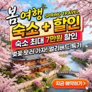 실전마을세천 | 2026 숙박세일페스타 봄편 최대 7만원 할인! 연박 신설 꿀팁 총정리 (지금 20일 남음)
