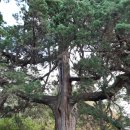 우각리 오의정 이미지