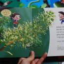 아람채소과일마트