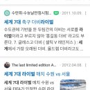 경기도 수원시 영통구 매탄로79번길 이미지