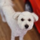 오늘도 너에개 이미지