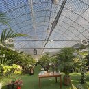 유천하우스 | 🌿 인천 식물원카페 추천｜커피 맛까지 잡은 대형 온실카페 커피하우스 유천 후기