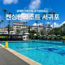 제주로와 | 제주도 가성비 숙소 켄싱턴리조트 서귀포 리뉴얼 후기