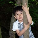 호성계곡 이미지