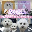 오쉬오트 이미지