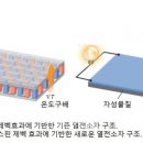 제백
