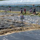 익산 농장 이미지