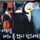 이도춘양 이미지