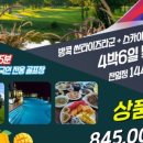 노블버디골프 이미지