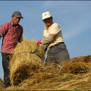 초가집(주) 이미지