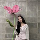 케이 80 티스토리