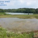팔지보건진료소 네이버블로그